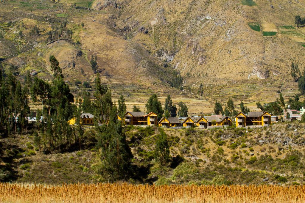 Eco Inn Colca Yanque Exterior foto