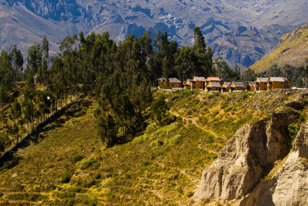 Eco Inn Colca Yanque Exterior foto