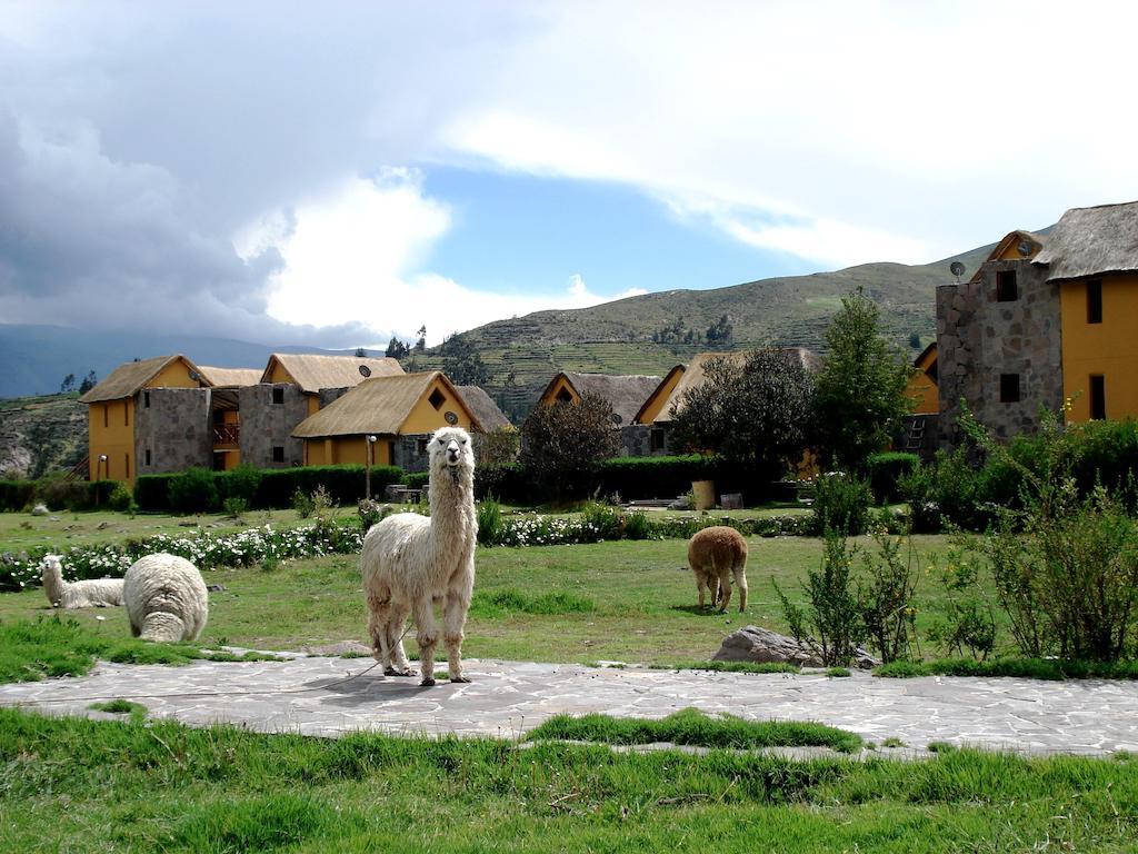 Eco Inn Colca Yanque Exterior foto